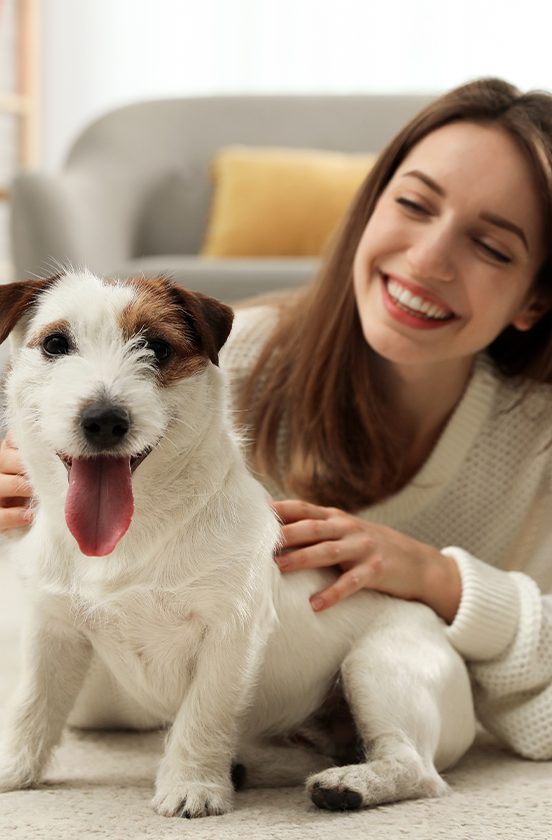 Pha.com.tr - Hayvan dostu.